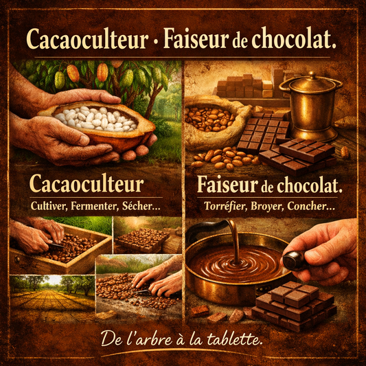 Notre métier: Cacaoculteur, Faiseur de chocolat